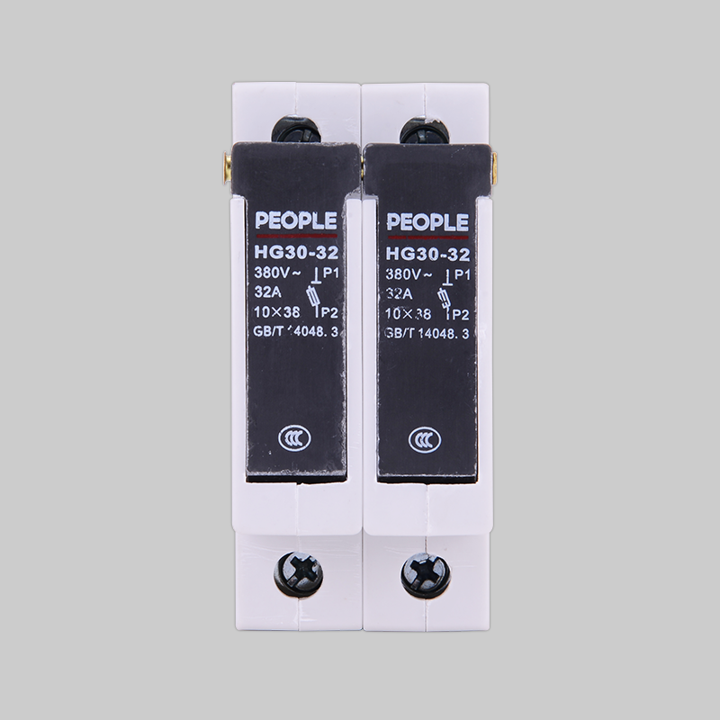 DB真人电器HG30熔断器式隔离器 