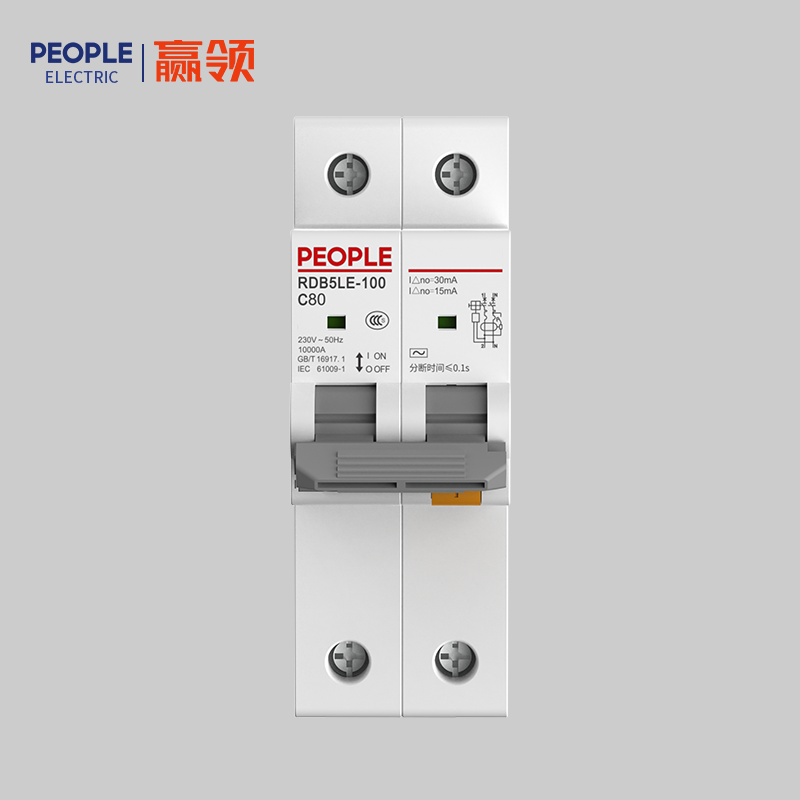 DB真人电器，DB真人电器集团，DB真人电器集团有限公司，中国DB真人电器，RDB5LE-100系列剩余电流动作断路器