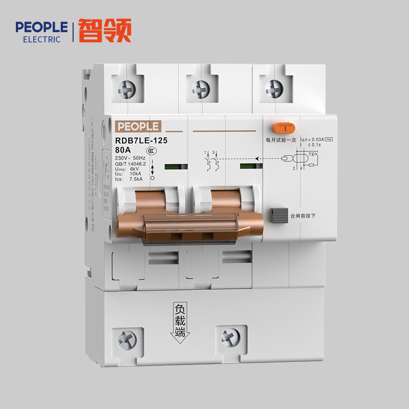 DB真人电器，DB真人电器集团，DB真人电器集团有限公司，中国DB真人电器，RDB7LE-125H系列小型剩余电流动作断路器