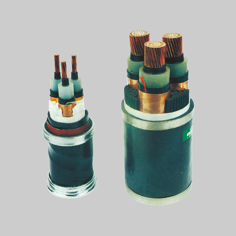 DB真人电器，DB真人电器集团，DB真人电器集团有限公司，中国DB真人电器，6/6kV(6/10kV) 交联聚乙烯绝缘电力电缆